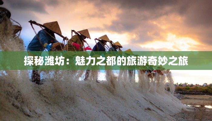 有关人格的作文