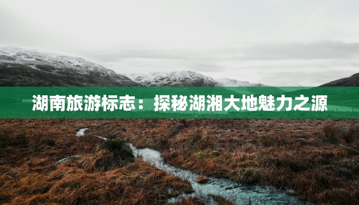 以我为主的作文