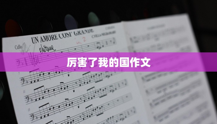 厉害了我的国作文