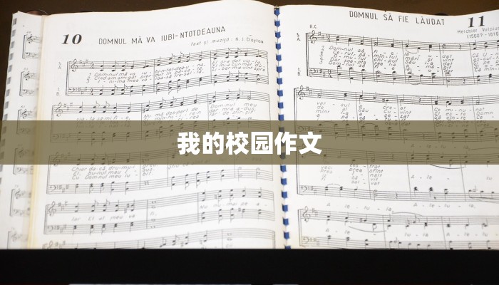 我的校园作文 我的校园作文