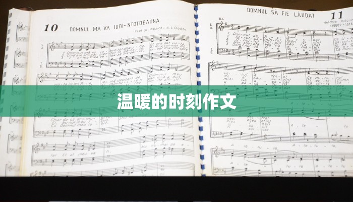 温暖的时刻作文