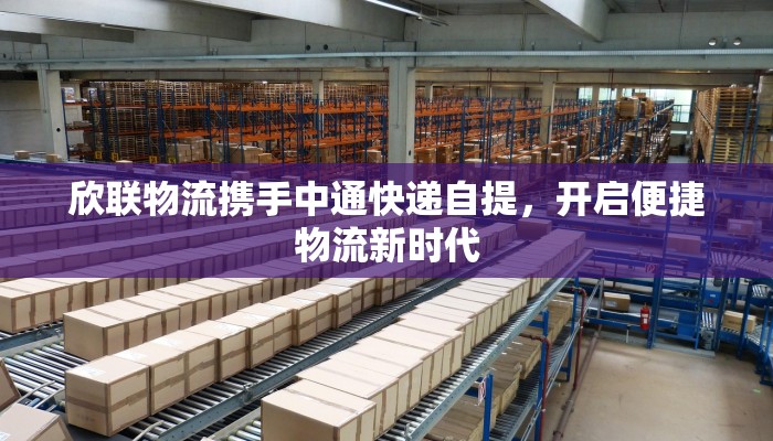 卧龙北街最新疫情:守护健康,共同前行